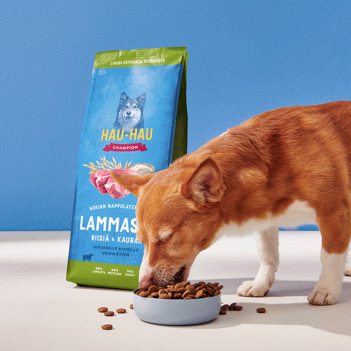 Hau-Hau Champion Nokian Nappulatehtaan Lammasta, riisiä ja kauraa kotimainen koiran kuivaruoka  fiiliskuva