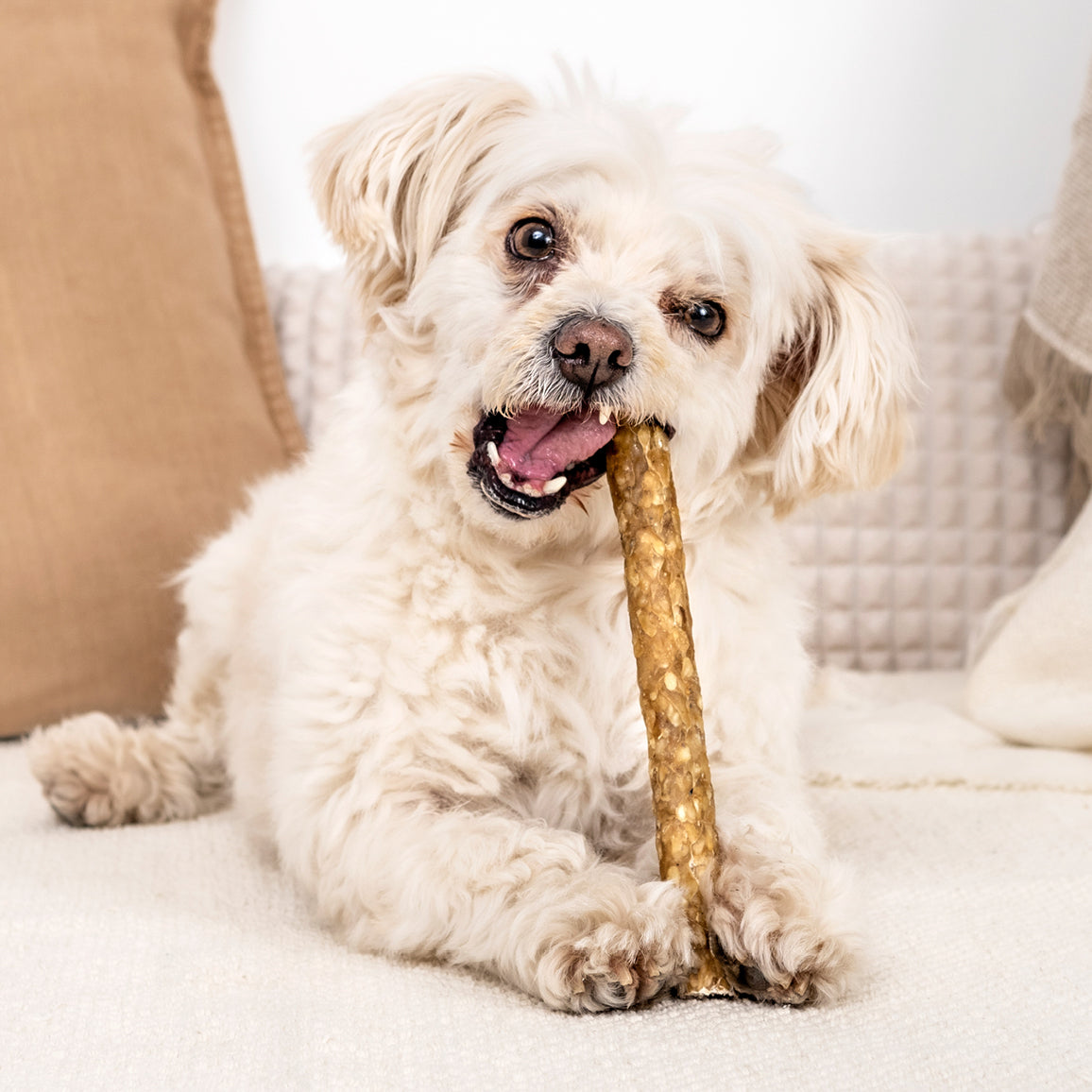 Hau-Hau Champion Purtavat Rouhepatukka Riista 17 cm koiran rouheluu pakkauskuva