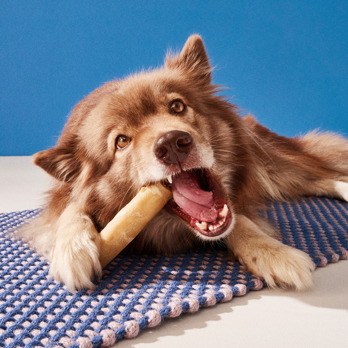 Hau-Hau Champion Purtavat Vuotapatukka Riista 13 cm koiran puruluu pakkauskuva
