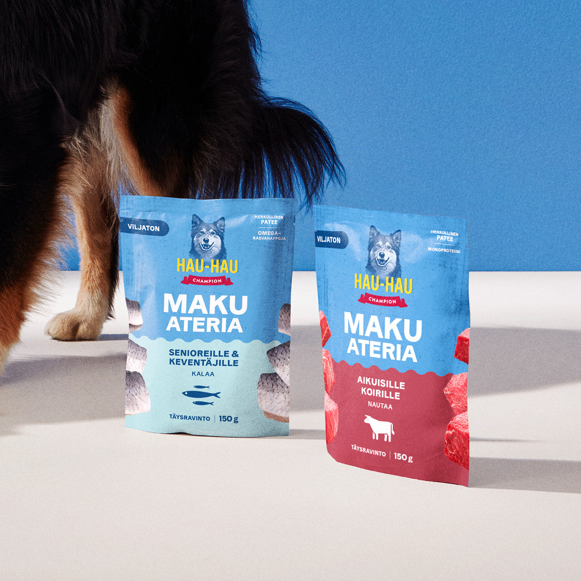 Makuateria kala viljaton märkäruoka seniorikoiralle