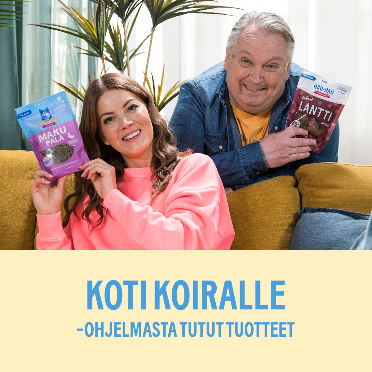 Koti koiralle -tuotepaketti isoille koirille