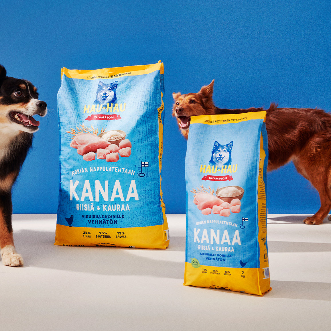 Koiran kuivaruoat kokoelman kuva