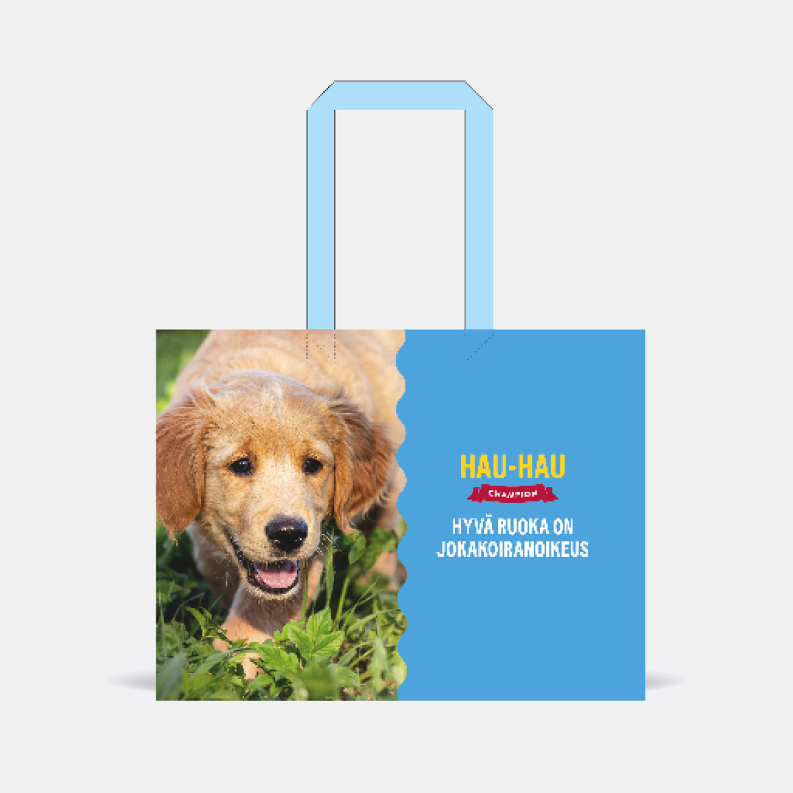 Kestokassi jokakoiranoikeus 42x32x16 cm