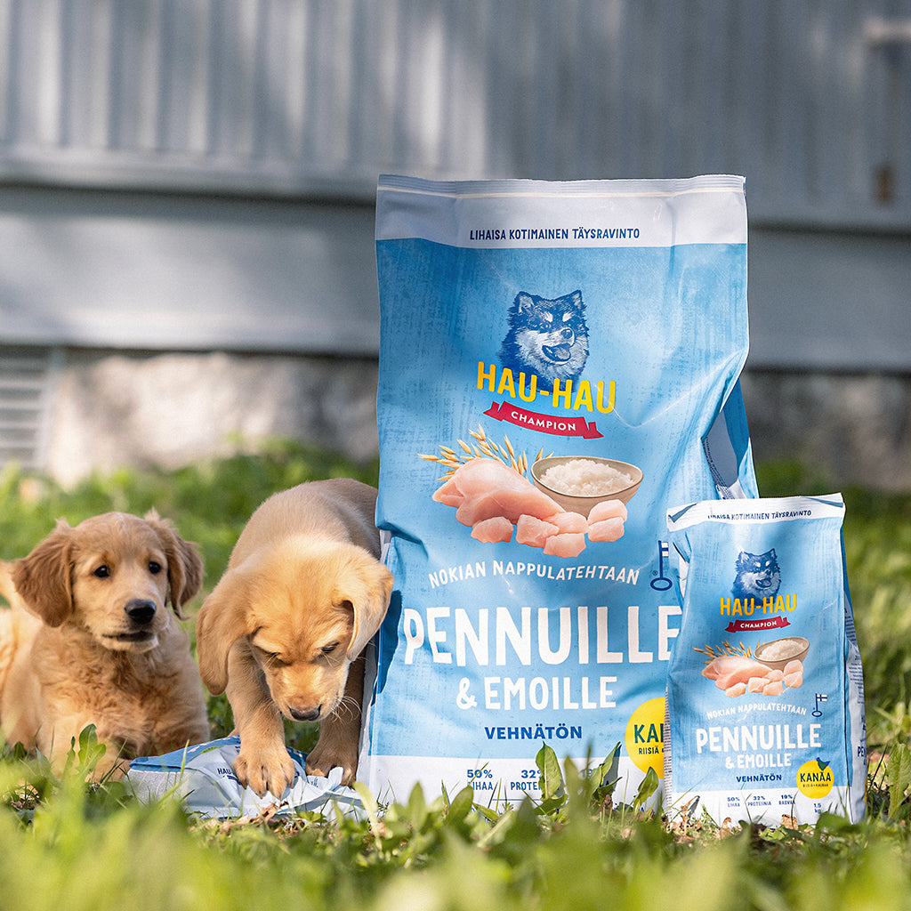 Nostokuva Nokian Nappulatehtaan kotimaiselle koiranpennun kuivaruoalle, kuvassa koiranpennun nurmikolla ruokasäkkien kanssa