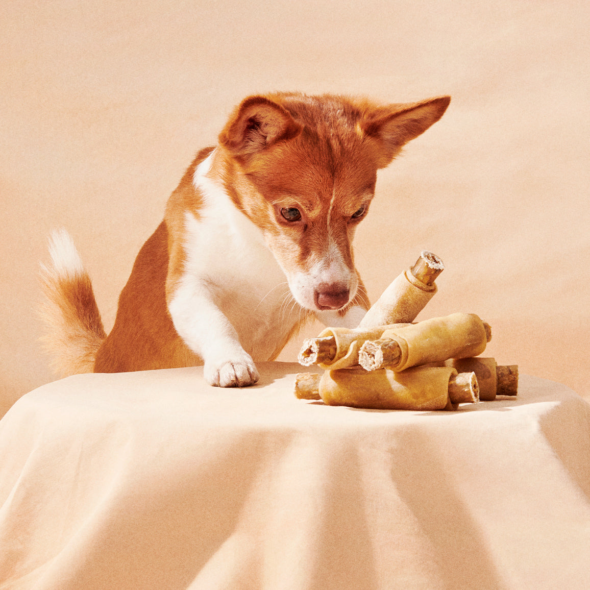 Hau-Hau Champion Kunnon puruluut Vuotapatukka kana koiran puruluu kuvituskuva