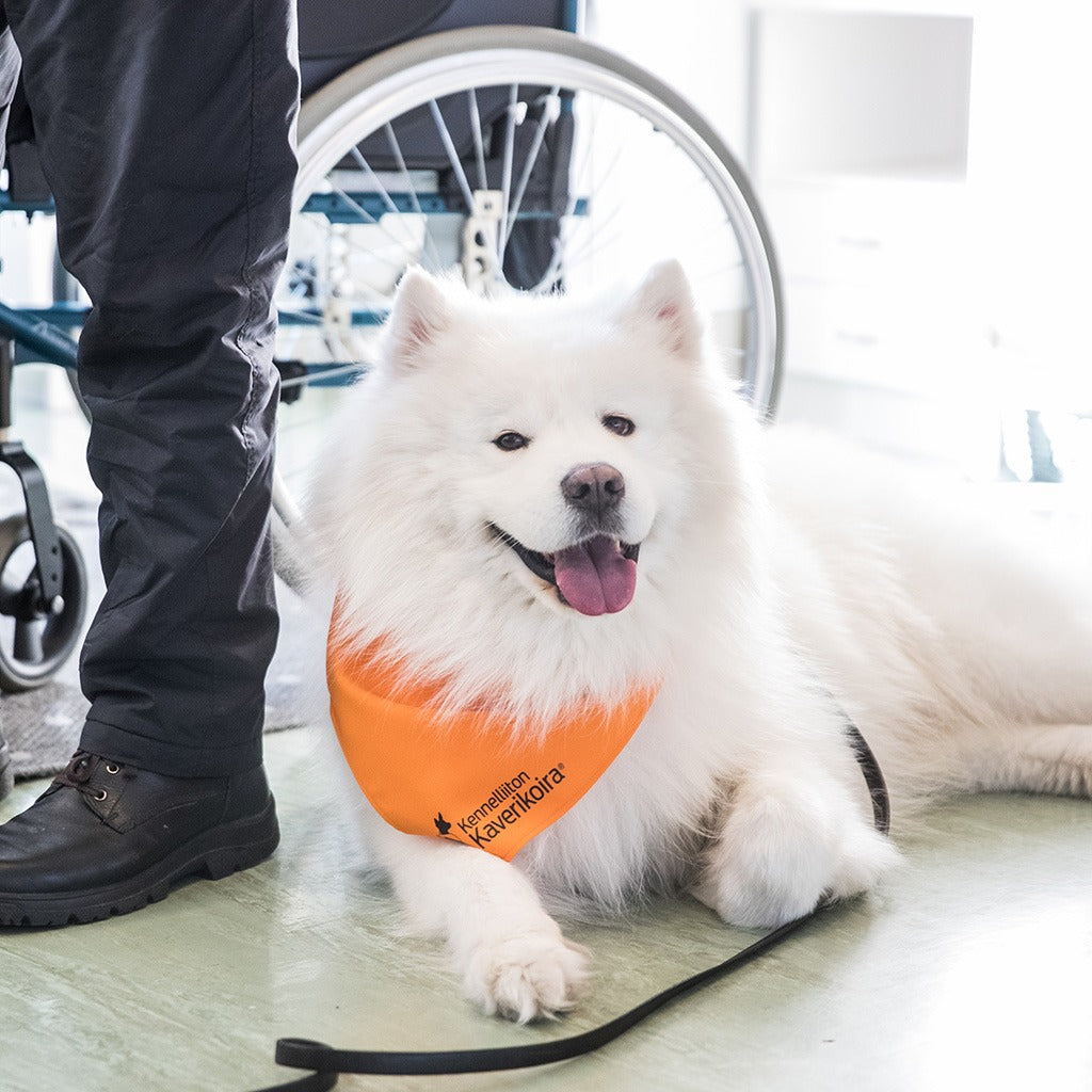 Hau-Hau mukana tukemassa hyvän mielen kohtaamisia