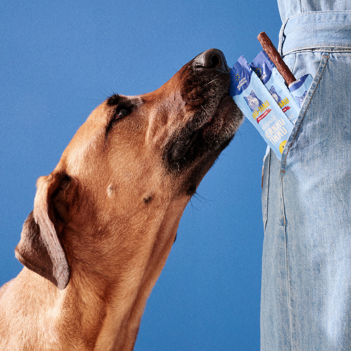 Hau-Hau Champion Mainio Herkkutikku Kanaa koiran herkku 12 g pakkauskuva