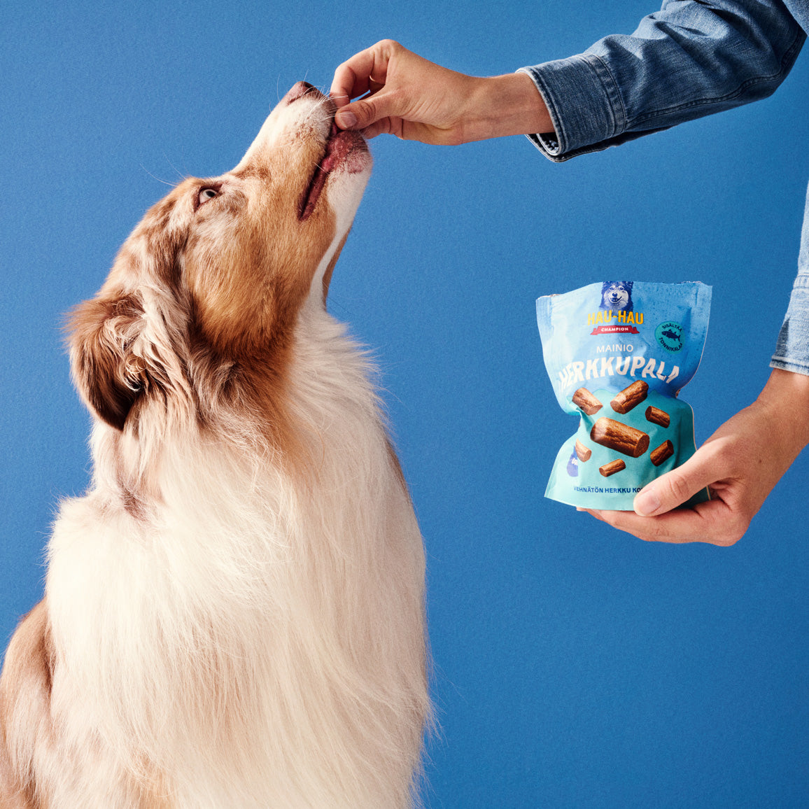 Hau-Hau Champion Mainio Herkkupala Tonnikalaa koiran herkku 100 g fiiliskuva