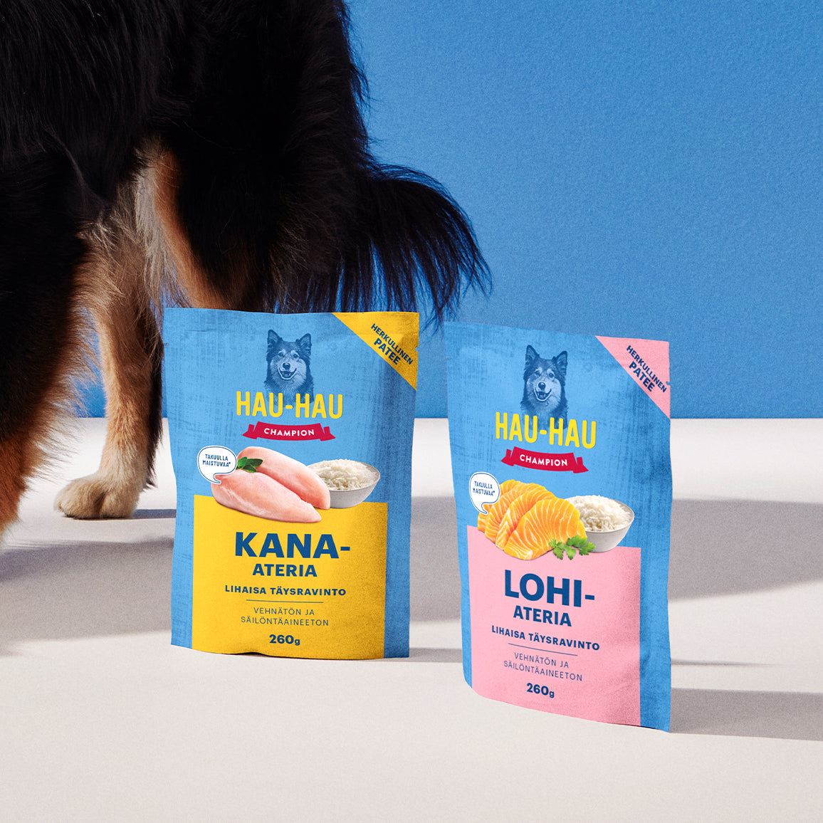 Koiran märkäruoat kokoelman ohjauskuva