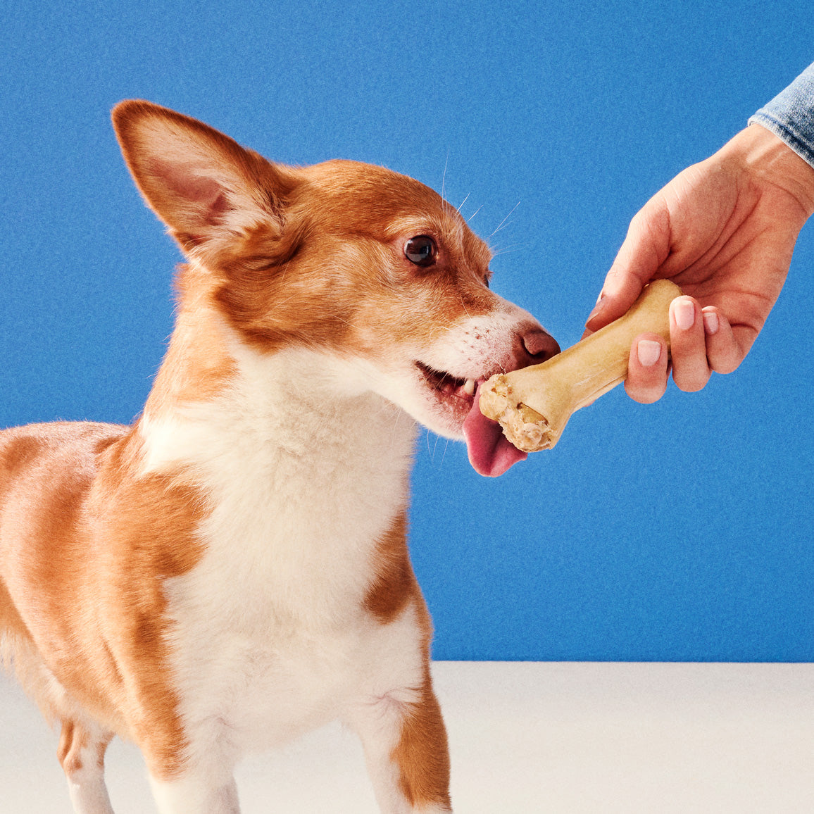 Hau-Haun puruluukokoelma nostokuva