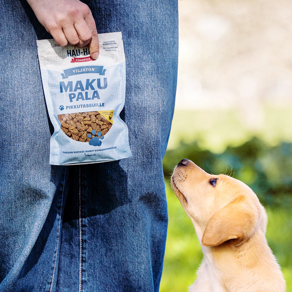 Nostokuva koiranpentujen omalle namille, kuvassa koiranpentu ja makupalapussi