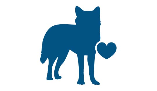 Kuvituskuva, kuvassa koiran ja sydämen siluetit