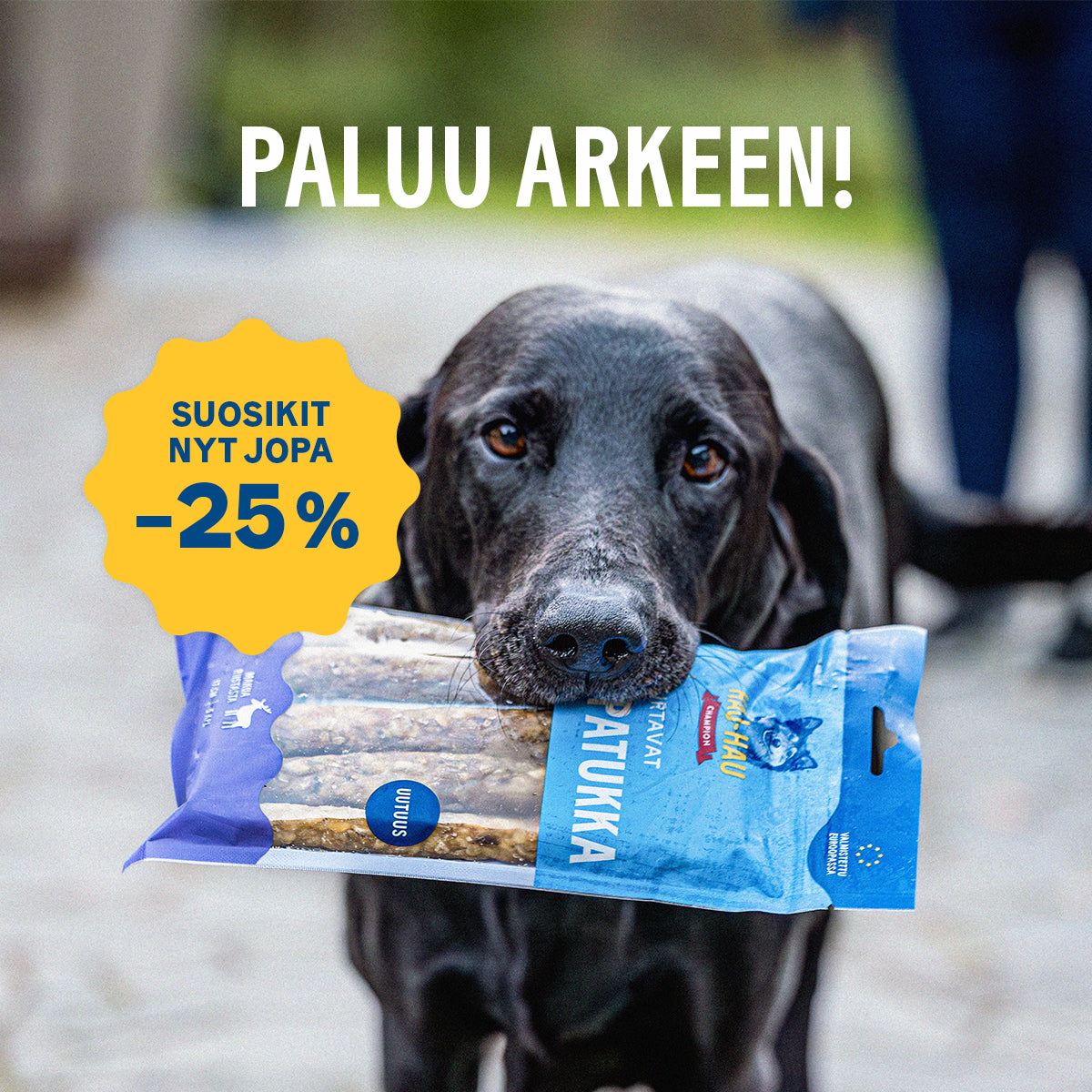 Kuvituskuva, jossa Paluu arkeen -tarjous. Suosikit jopa -25 %. 