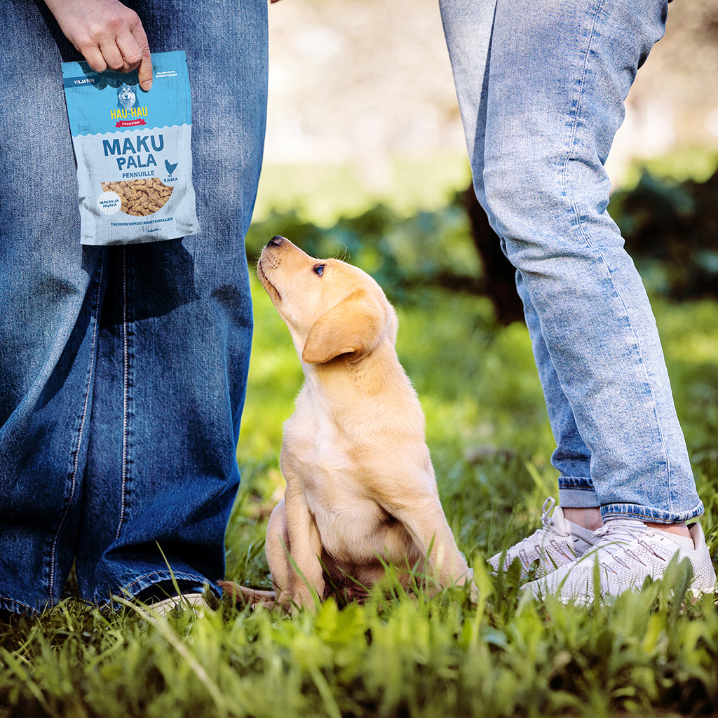Kuvassa koirapentu ja Makupala-herkut ihmisten kanssa puutarhamaisemassa